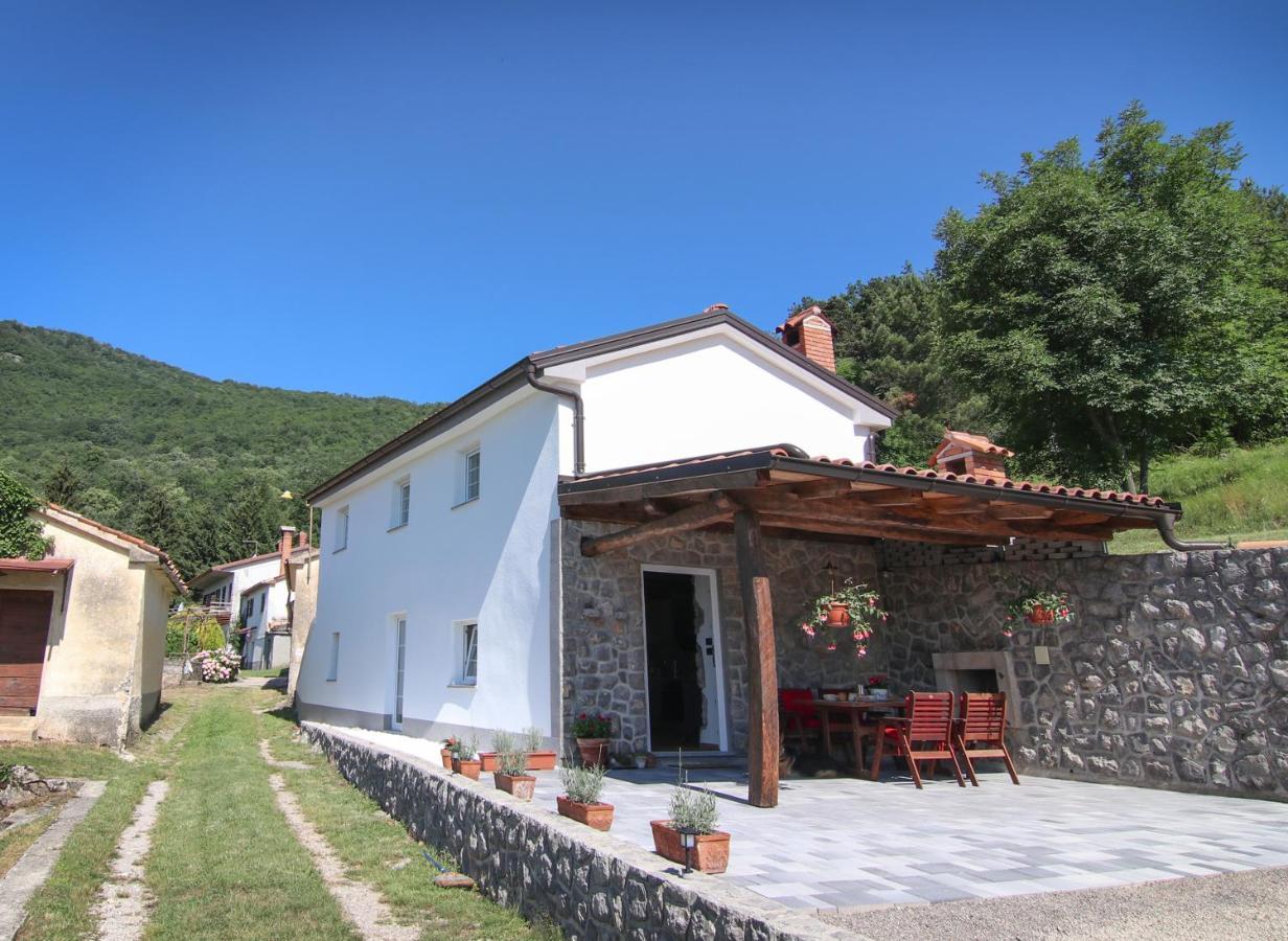 Guest House 'Villa Fani' Veprinac With Jacuzzi Dış mekan fotoğraf