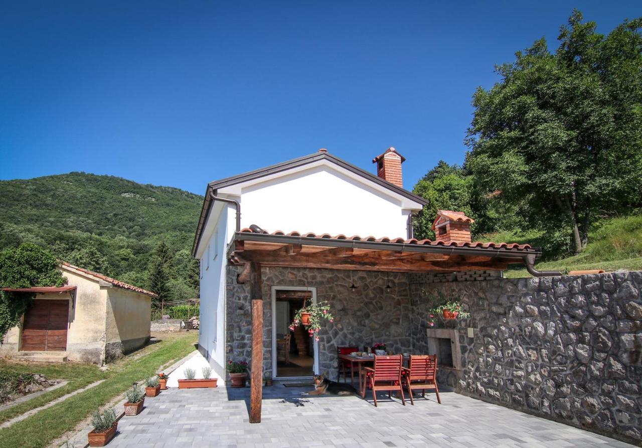 Guest House 'Villa Fani' Veprinac With Jacuzzi Dış mekan fotoğraf
