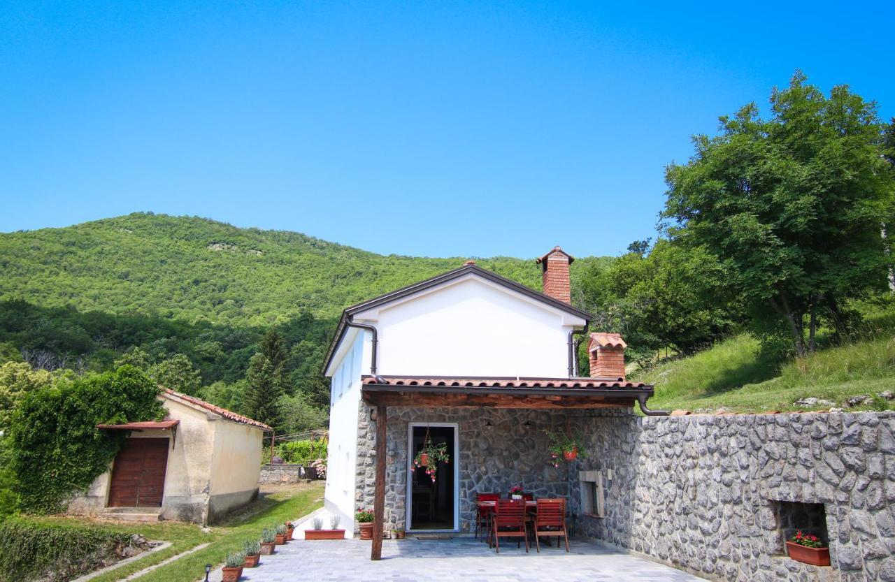 Guest House 'Villa Fani' Veprinac With Jacuzzi Dış mekan fotoğraf