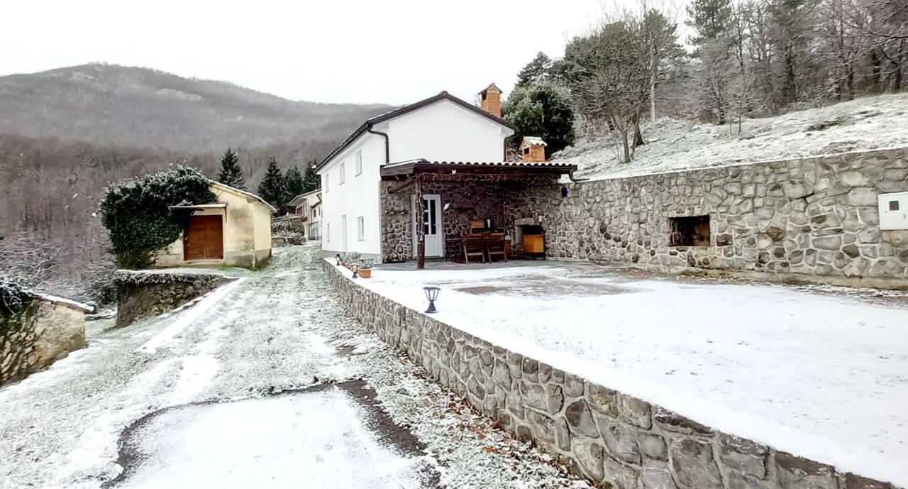 Guest House 'Villa Fani' Veprinac With Jacuzzi Dış mekan fotoğraf