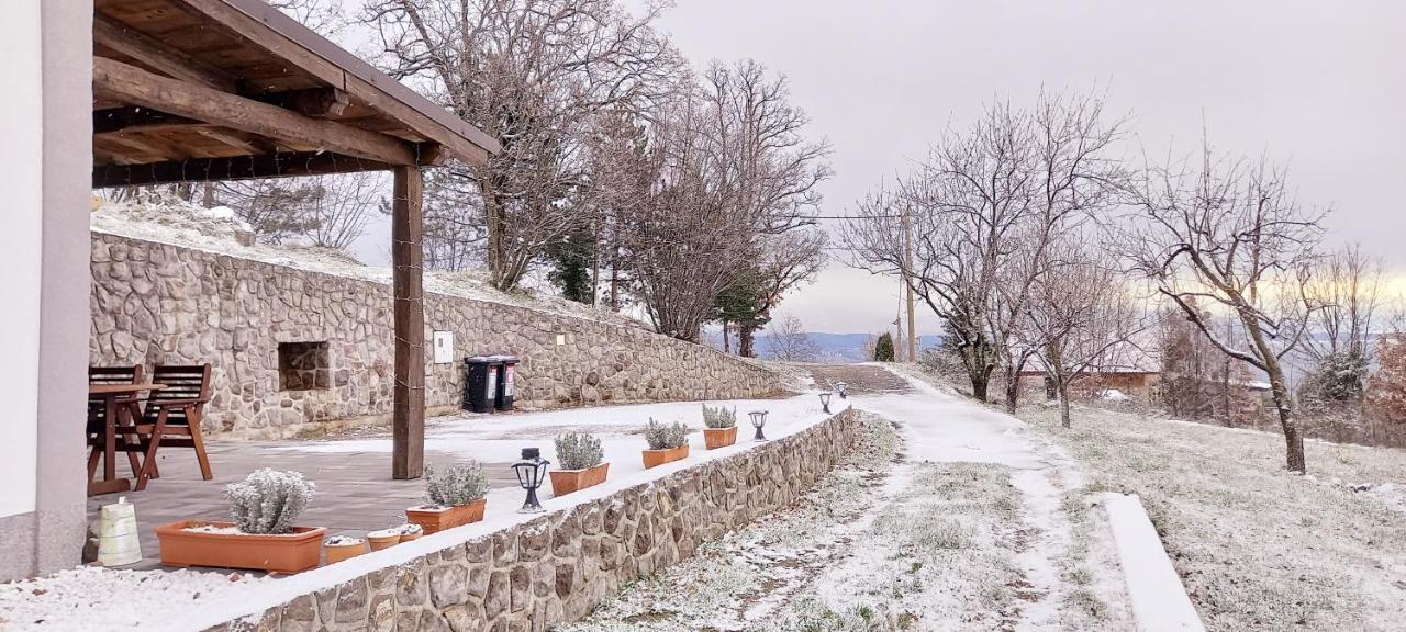 Guest House 'Villa Fani' Veprinac With Jacuzzi Dış mekan fotoğraf